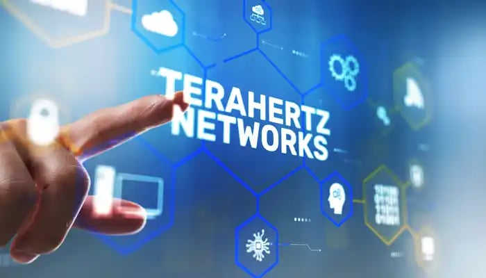 Advancing Terahertz Communication in the 6G Era